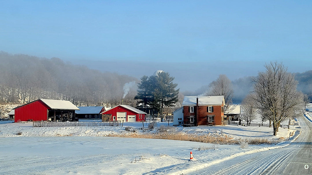 A view of the farm right at the beginning of the 2025 maple season. You can see it still looks very much like winter.