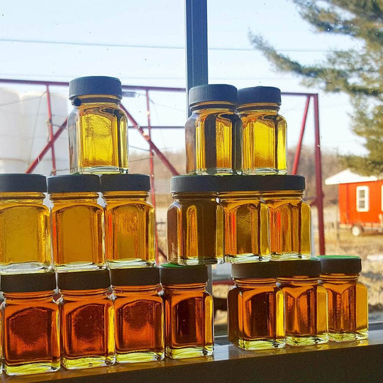 Samples of grades of maple syrup during production.